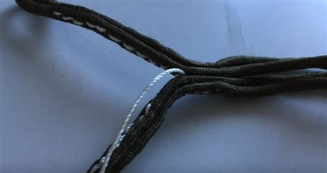 Поводок или шлейка для попугая (волнистого, корелла, жако): как сделать ...