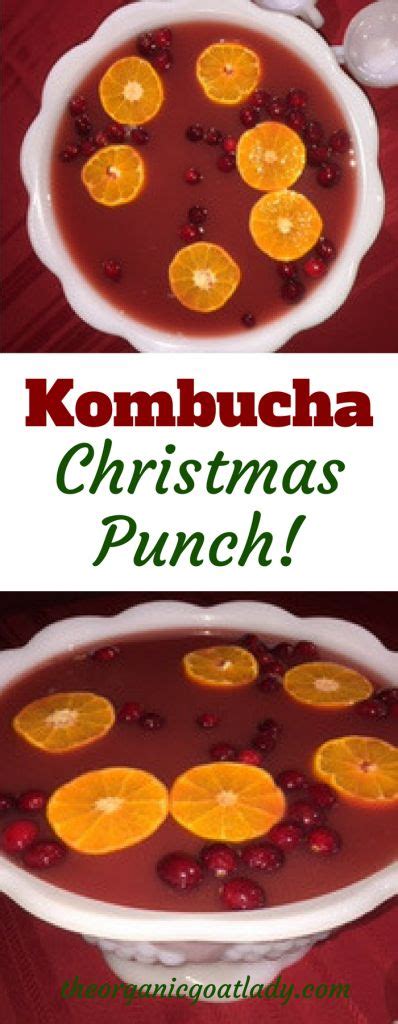 Kombucha Recipe 10 Amazing Kombucha Flavors That You Will LOVE The