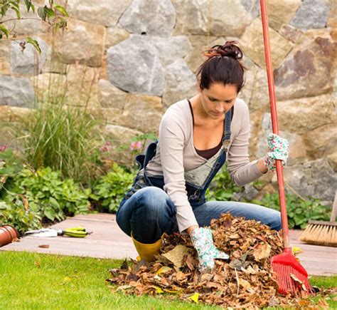 How To Prepare For A Proper Fall Cleanup Hamilton Burlington