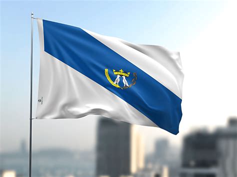 Bandeira De Ponta Grossa - Bandeira do Município de Ponta Grossa Uma Face Estampada Tamanho ...