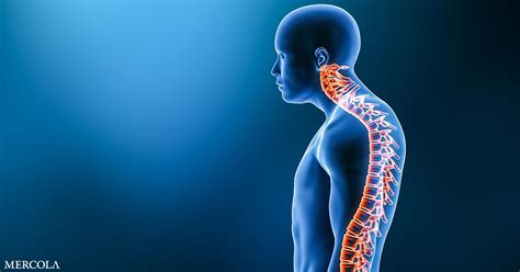 people   curved    age