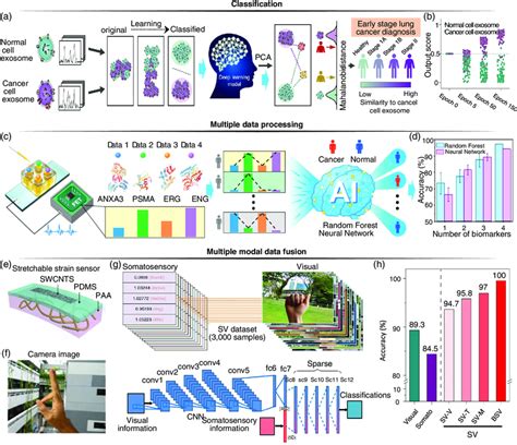 Augmented Sensing Performance Of MLassisted WSES A B Classification