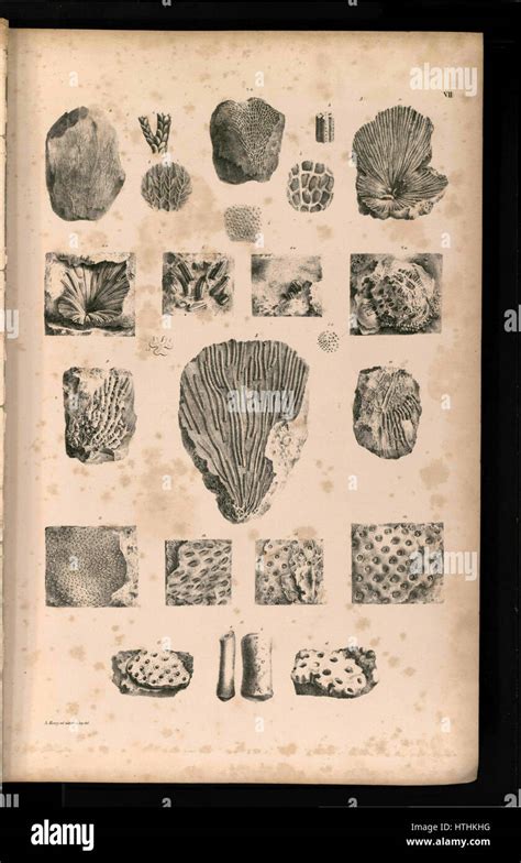 tafel design  res stock photography  images alamy