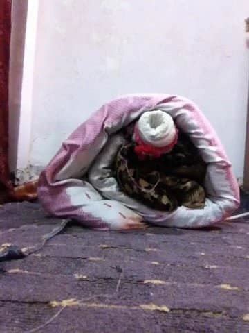 Fuck Me Gay Man Porn XHamster