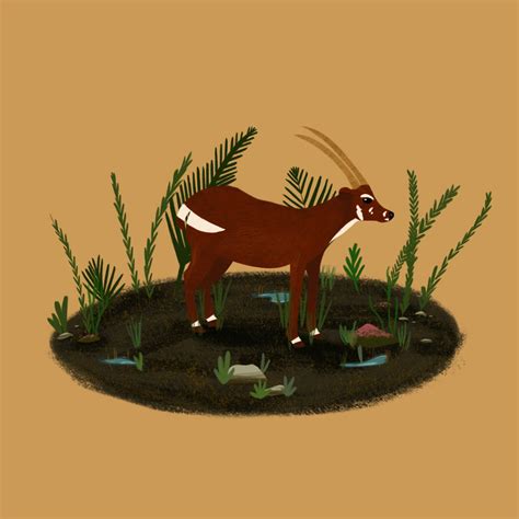 Endangered Animals Illustrations | Behance