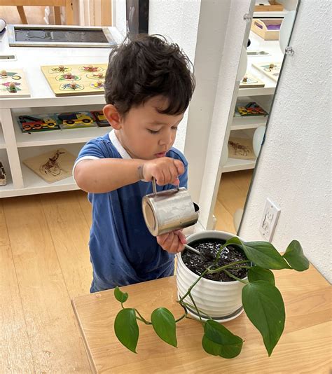 🌱💧 Watering plants is more than a simple task; it's a nurturing act o