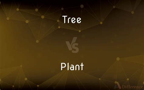 Tree vs. Plant — What’s the Difference?