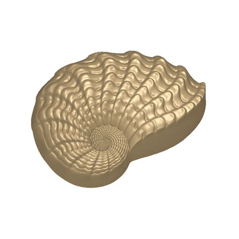 Морская раковина форма пластиковая