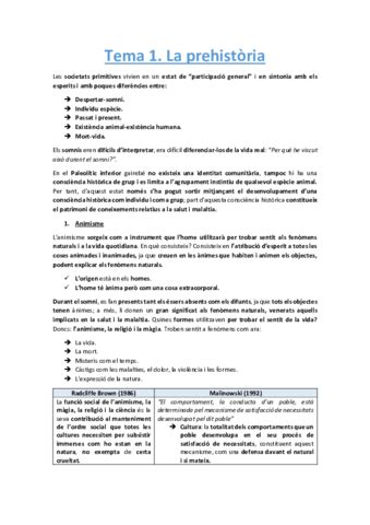 Tema 1 La Prehistoria Pdf