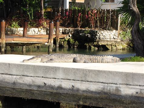 wyRiwyg : Florida Keys