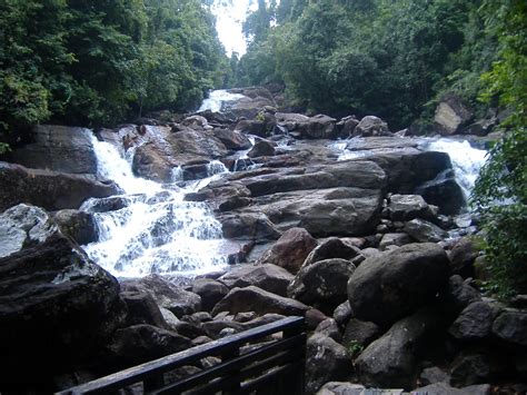 kannaliya rain forest kanneliya water falls