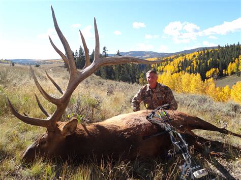 Colorado Trophy Elk Hunts At Bull Basin Ranch Colorado Trophy Bull Elk
