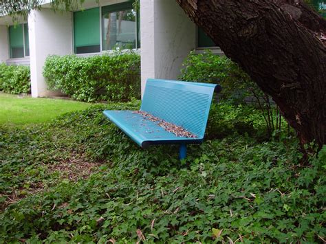 Free picture: secluded, bench