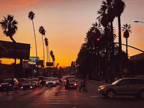 Jordan Robinson Info Sunset Boulevard Los Angeles