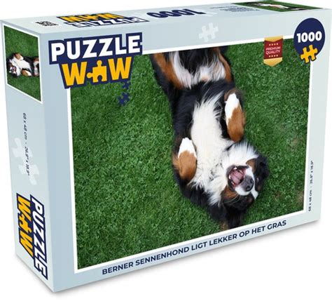 Puzzel Berner Sennenhond Ligt Lekker Op Het Gras Legpuzzel Puzzel