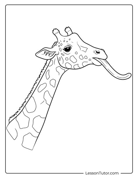 what color is the tongue of a giraffe 8
