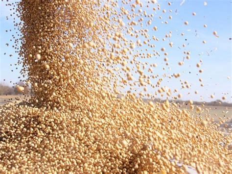 Crisis Productiva Las Pérdidas Para El Agro Superarán Los 14 000