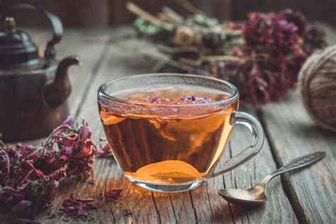 Echinacea Tea: Taste, Benefits, and Recipe – Tea Backyard