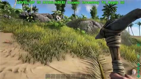 Ark Survival Evolved Gameplay Max Graphics Youtube