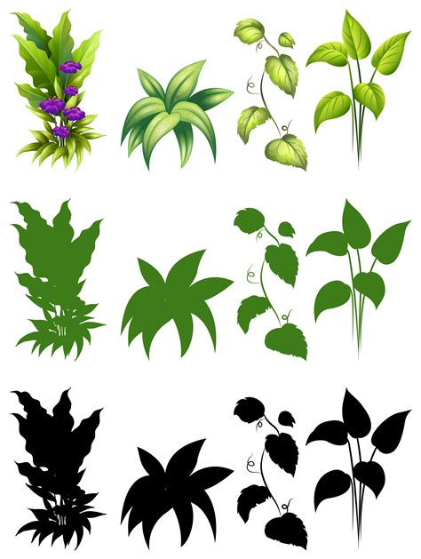 Set Of Plant Design 519626 Vector Art At Vecteezy