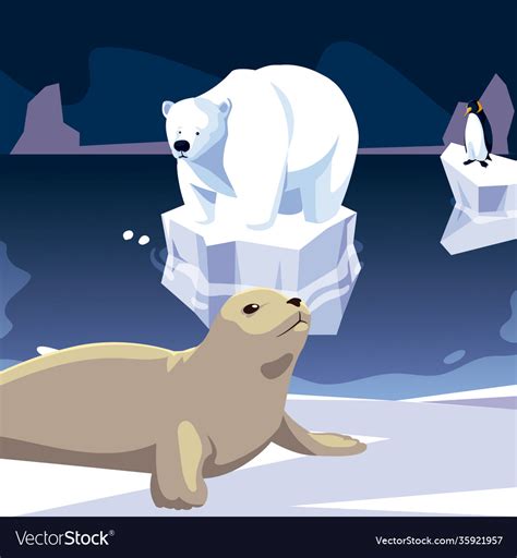 Seal and polar bear animals north pole iceberg Vector Image