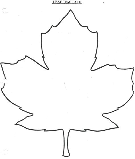 fall leaf drawing 11