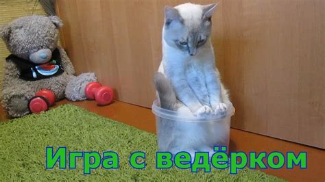 Такеши и ведёрко - YouTube