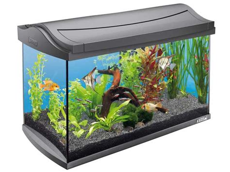 Tetra AquaArt Discovery Line: Mein Testbericht