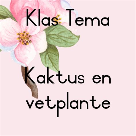 Klas Tema Kaktus En Vetplpante • Teacha