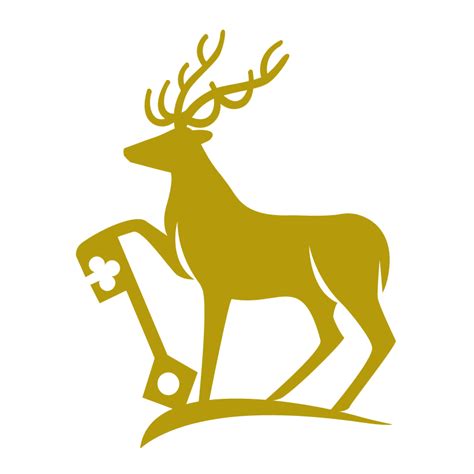 club invest  women hub