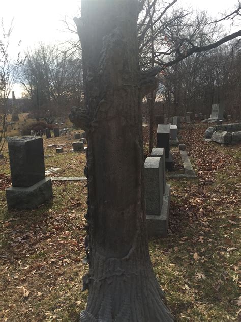 Rev William Trimble Beatty 1834 1882 Homenaje De Find A Grave