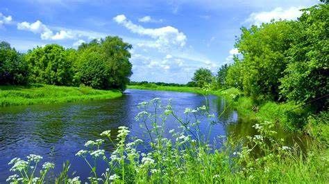 Superphobes Are Distracted Watching Porn Quick Let S Enjoy How Majestic And Beautiful Nature Is