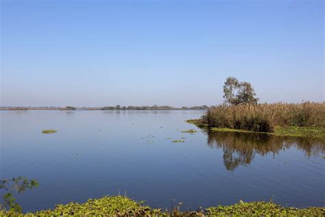 Harike Wetland Amritsar What To Expect Timings Tips Trip