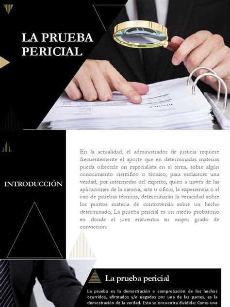 La Prueba Pericial Pdf Evidencia Ley Testigo Experto