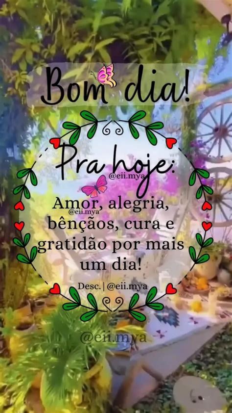 Bom Dia Graça E Paz - 31 Frases de Bom dia com Sabedoria e muita Paz para você