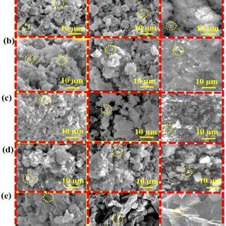 Scanning Electron Microscope Sem Images Of A Bg B Bg Go C Bg