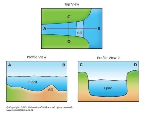 ESTUARY FORMATION - RESOURCE. Estuaries have a life cycle. They form ...