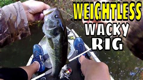 Weightless Wacky Rig Bass Fishing From A Kayak Youtube