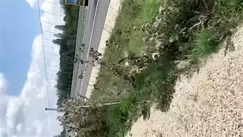 Xxl Exhibitionismus Fkk Autobahn Man Porn XHamster