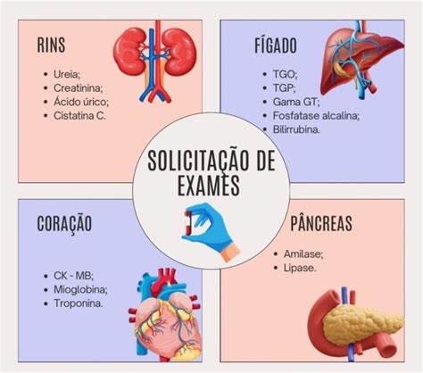 Qual O Exame Para Detectar Problemas Nos Rins - Interpretação dos Exames Laboratoriais Função Renal (Rins) Os rins ...