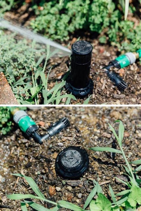 17 Best Diy Sprinkler System Ideas For Your Yard This 2023 Sprinkler System Diy Lawn