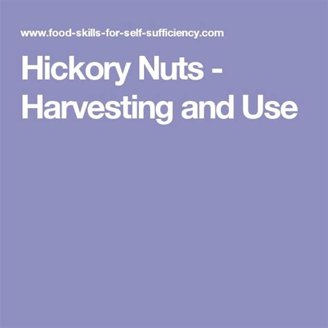 Hickory Nuts - Harvesting and Use | Hickory, Food garden, Harvest