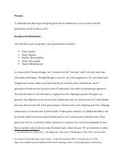 Sex Linked Traits In Fruit Flies Docx Purpose To Determine The Phenotype And Genotype Of The