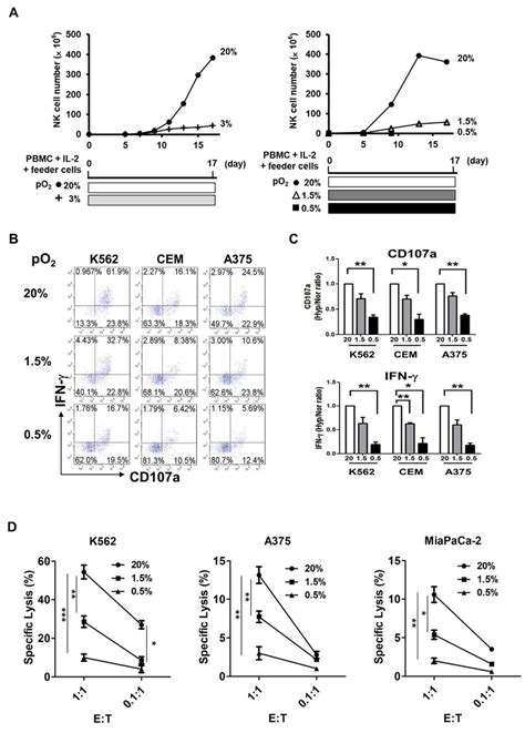 Innate Immune Activating Ligand Sumoylation Affects Tumor 40 Off