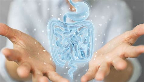 Do Probiotics Really Help Loose Stools?