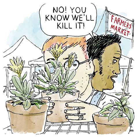 Killing Plants How To Move Indoor Plants Outside For Spring And Summer