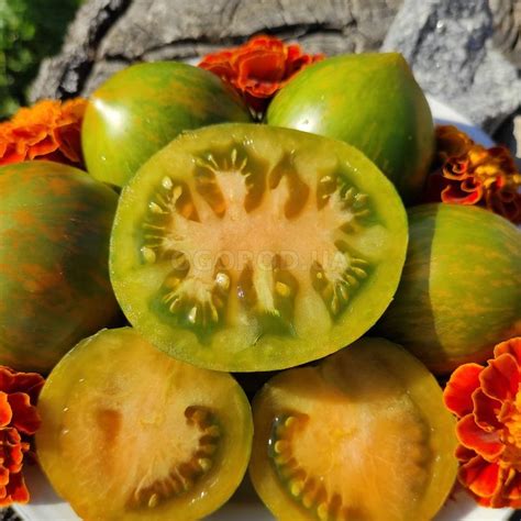 Семена томата «Dwarf Babylons Glow» (Карлик Сияние Вавилона), серия «От ...