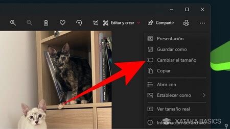 Cómo bajar la resolución y tamaño de una foto en Windows sin instalar nada