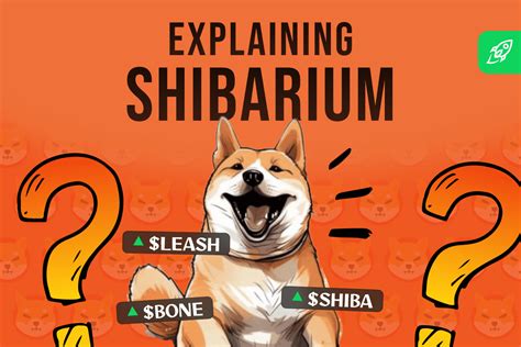 What Is Shibarium Everything You Need To Know