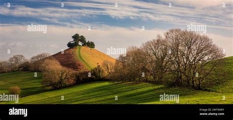 The Beautiful Colmers Hill In The West Dorset Countryside South West